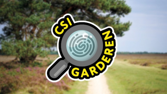 CSI Garderen op de Veluwe in 