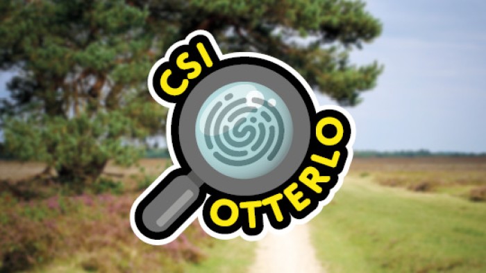 CSI Otterlo op de Veluwe in 