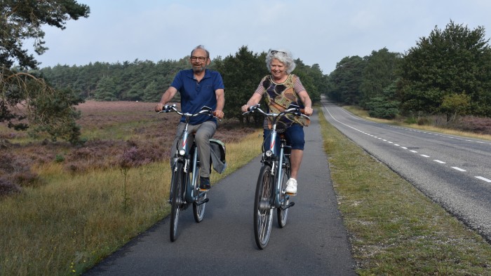 Elektrische fiets in Harderwijk