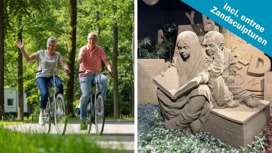 Activiteit / Dagje weg Elektrische fiets incl. Zandsculpturen op de Veluwe