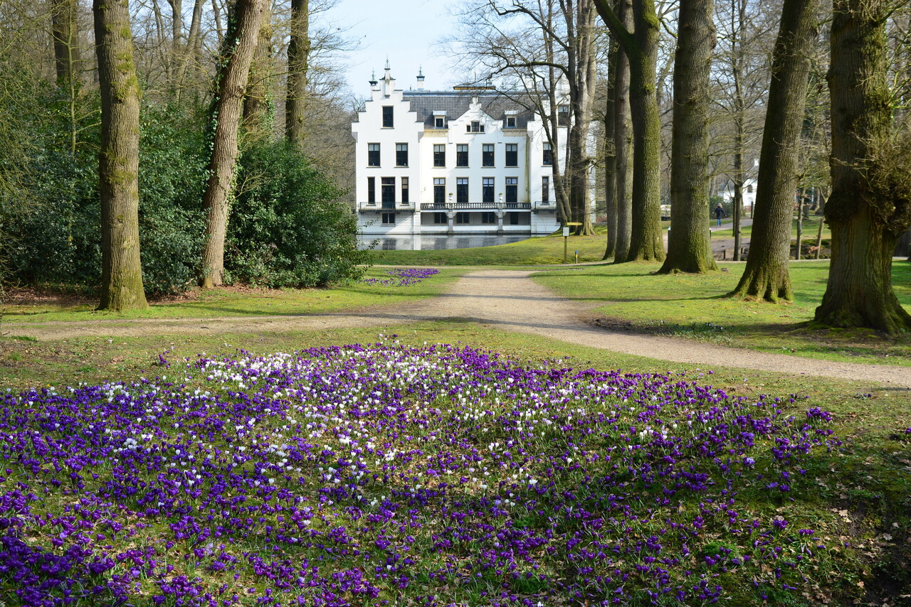 Voorjaar in aantocht, landgoed Staverden